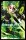 Seraph of the End 05