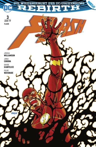 Flash (Rebirth) 3