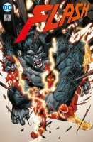 Flash (Rebirth) 8