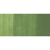 Copic Ciao Marker YG67 Moss