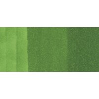 Copic Ciao Marker G07 Nile Green