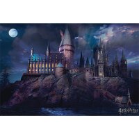 Harry Potter Poster: Hogwarts (36)