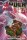 Bruce Banner: Hulk 6