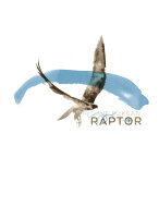 Raptor (McKean, Dave)