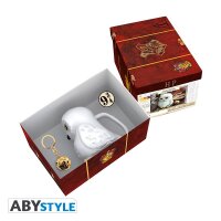 Harry Potter Geschenkbox - Harry Suitcase Hedwig...