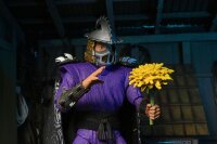 Teenage Mutant Ninja Turtles II Actionfigur: Ultimate...