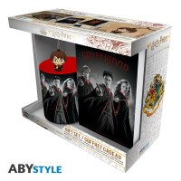 Harry Potter Trio Geschenkbox