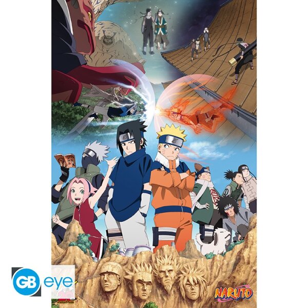 Naruto Poster: Will of Fire