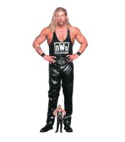 WWE Pappaufsteller (Stand Up) - Kevin Nash (196cm)