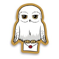 Harry Potter Kissen Hedwig Brief