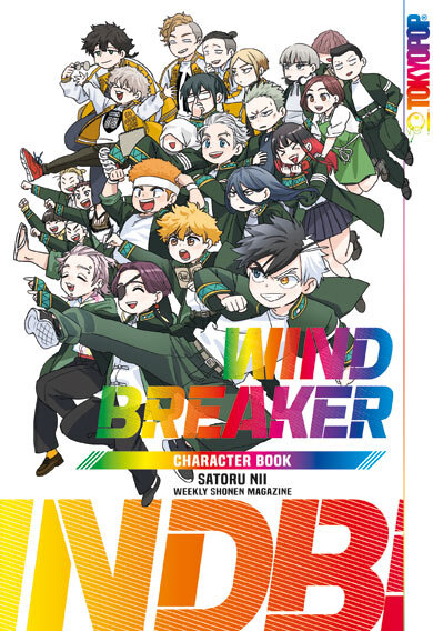 Wind Breaker Character Book (Nii, Satoru)