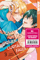 What We Do When the Curtain Falls 03 - Limited Edition...