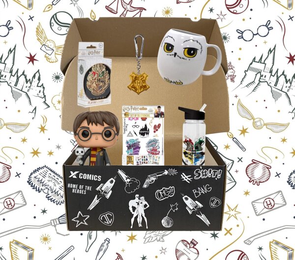 Mystery Treasure Box Harry Potter