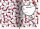 Hello Kitty Buchkalender 2026 (08)