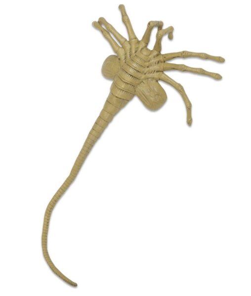 Alien Life Size Replica - Facehugger