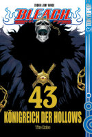 Bleach 43 (Kubo, Tite)