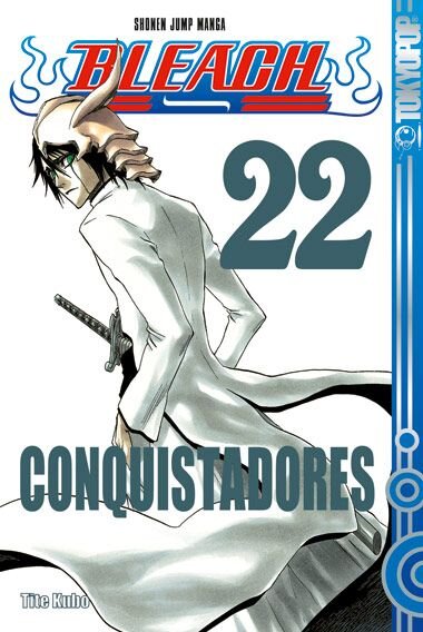 Bleach 22 (Kubo, Tite)